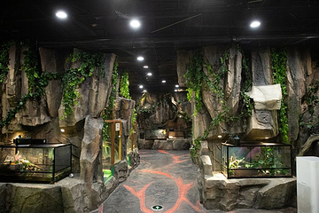 灵客欢乐动物园（桔子广场店）第 2 张图片