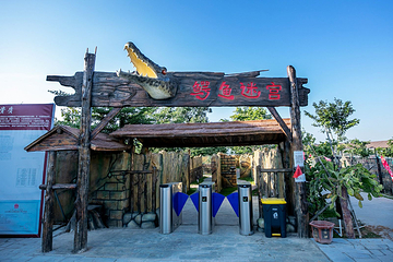 鳄珍鳄鱼园第 8 张图片