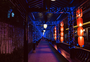 珠江玖崇湖温泉度假区第 3 张图片