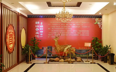 中山市参宫野山参文化博物馆第 2 张图片