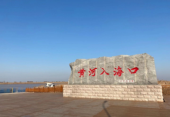黄河入海口第 2 张图片