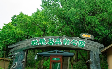 溪口杜鹃谷森林公园第 2 张图片
