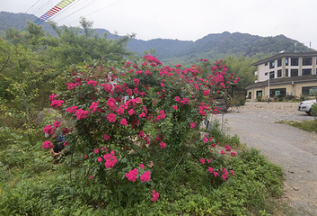 燕子岩风景区第 3 张图片