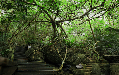 呀诺达热带雨林第 67 张图片