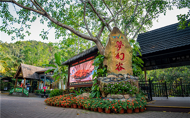 呀诺达热带雨林第 93 张图片
