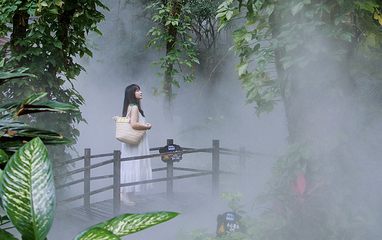 呀诺达热带雨林第 48 张图片