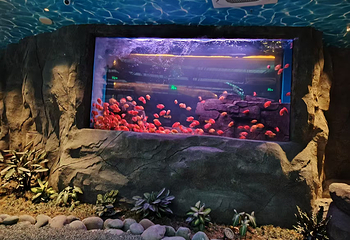 渔你同鲟水族馆第 14 张图片