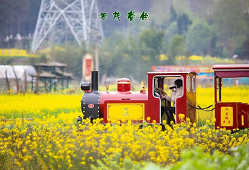 川西药谷·禾茂田园第 4 张图片