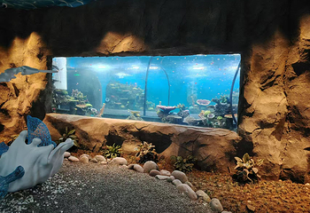 渔你同鲟水族馆第 13 张图片