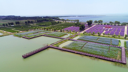 西京湾花海第 8 张图片