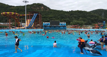 东风湖海豚水世界第 5 张图片