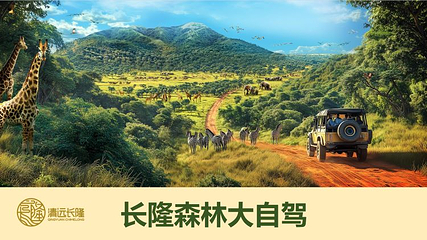 清远长隆动物大越野第 29 张图片