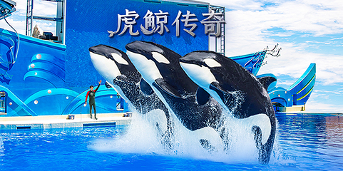 上海海昌海洋公园第 9 张图片