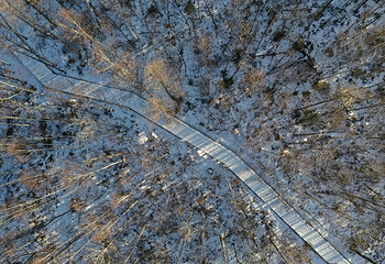 长白山红松王滑雪场第 7 张图片