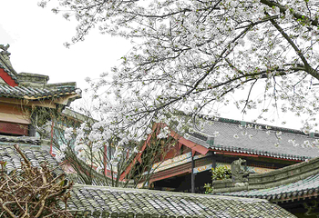 横店影视城清明上河图园区第 17 张图片