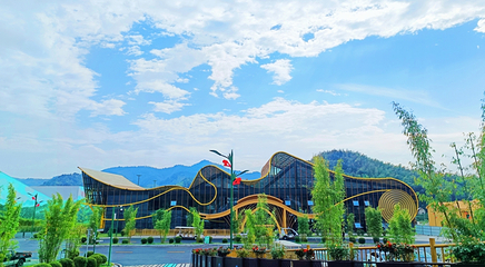 桃花江竹海景区第 14 张图片