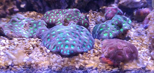 昭通海洋大世界第 22 张图片