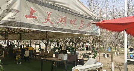 上美四季生态园第 21 张图片