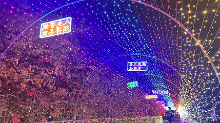 水稻国家公园第 12 张图片