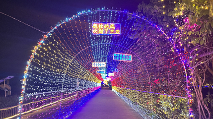 水稻国家公园第 74 张图片