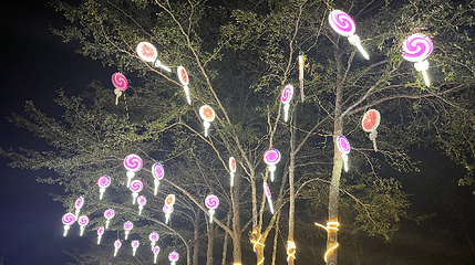 水稻国家公园第 66 张图片