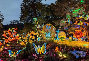 北京光影夜游乐园第 13 张图片