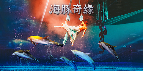 上海海昌海洋公园第 47 张图片