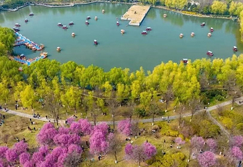 麦迪斯大明宫水上乐园第 6 张图片
