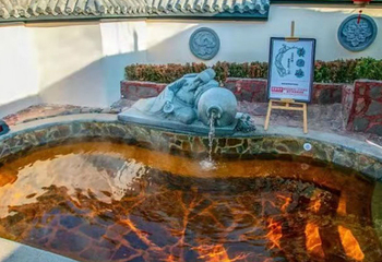 西部长青温泉谷第 3 张图片