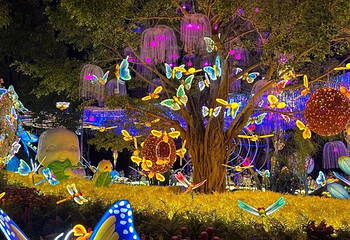 北京光影夜游乐园第 14 张图片