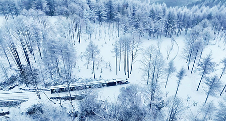 恩施长岭岗滑雪场第 2 张图片