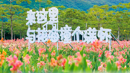 水稻国家公园第 11 张图片