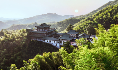 桃花江竹海景区第 8 张图片