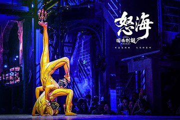 因为刺桐第 7 张图片
