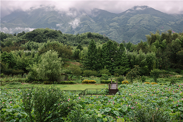 汤公山峡谷探险漂流第 7 张图片