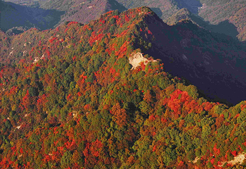 终南山南五台景区第 106 张图片