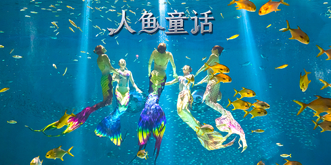 上海海昌海洋公园第 68 张图片