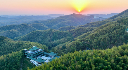 桃花江竹海景区第 6 张图片