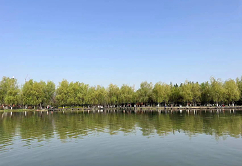 麦迪斯大明宫水上乐园第 3 张图片