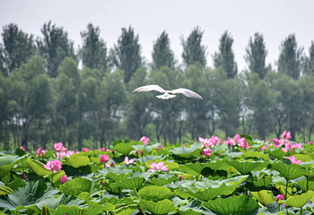 辽河七星湖景区(石佛寺水库)第 11 张图片