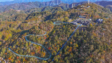 丫山花海石林第 8 张图片