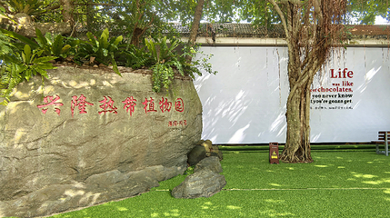 兴隆热带植物园第 2 张图片