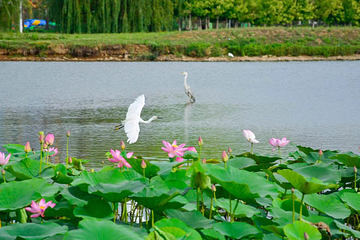 辽河七星湖景区(石佛寺水库)第 9 张图片