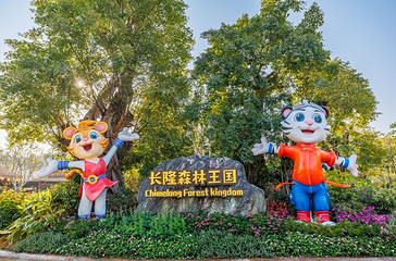 清远长隆森林王国第 41 张图片