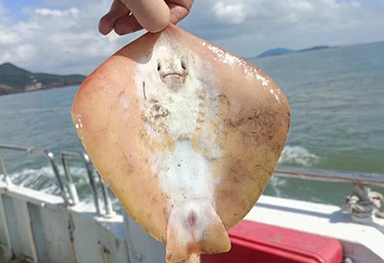 象山游船出海基地第 2 张图片