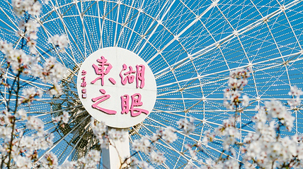 东湖之眼樱花主题乐园第 14 张图片