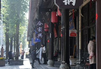 严道古城第 22 张图片