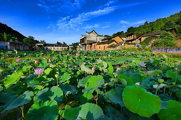 新田龙家大院第 11 张图片