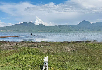 拉市海打渔村景区第 7 张图片