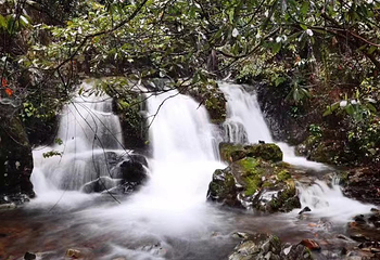 千岛湖红山谷景区第 13 张图片